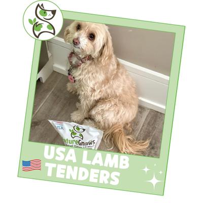 USA Lamb Tenders Natural Dog Chew Treats, 1-lb bag
