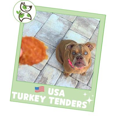 USA Turkey Tenders Natural Dog Chew Treats, 1-lb bag