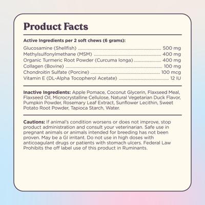 Radiant Hip x Joint Chew Supplement for Dogs, 90 count