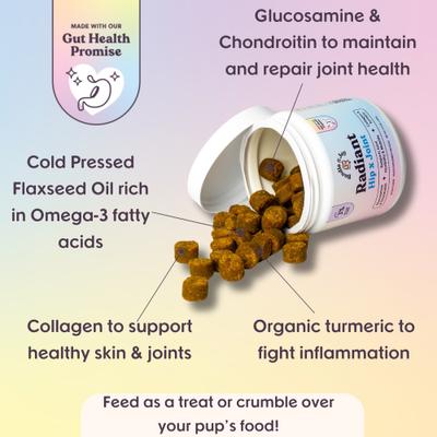 Radiant Hip x Joint Chew Supplement for Dogs, 90 count