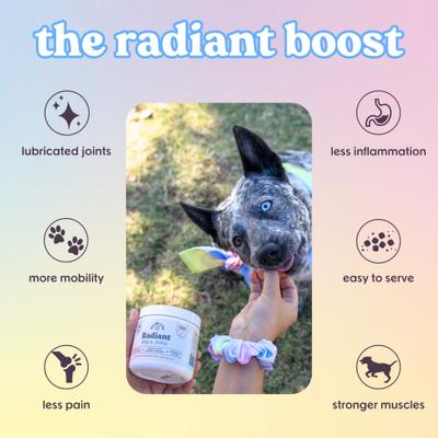 Radiant Hip x Joint Chew Supplement for Dogs, 90 count