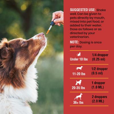 Suplemento para el tracto urinario con sabor a arándano para perros y gatos, botella de 8 onzas líquidas