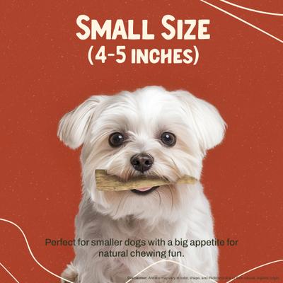 Elk Antler Dog Chew, Small: 5 to 25-lbs, 2 count