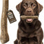 Elk Antler Dog Chew, Small: 5 to 25-lbs, 2 count