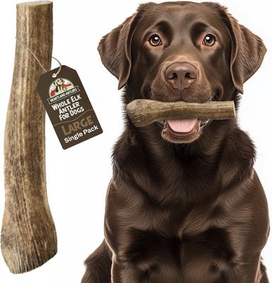 Elk Antler Dog Chew, Small: 5 to 25-lbs, 2 count
