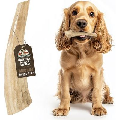 Masticable de asta de alce para perros, grande: de 45 a 65 libras