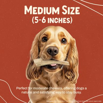Masticable de asta de alce para perros, mediano: de 25 a 45 libras