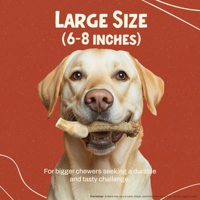 Deer Antler Dog Chew, Large: 45 to 65-lbs
