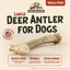 Deer Antler Dog Chew, Large: 45 to 65-lbs