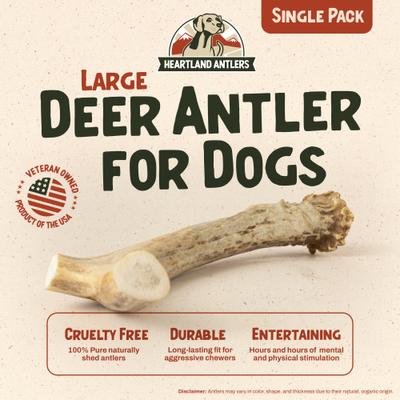 Deer Antler Dog Chew, Large: 45 to 65-lbs