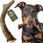 Deer Antler Dog Chew, Large: 45 to 65-lbs