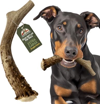 Deer Antler Dog Chew, X-Large: 65 to 85-lbs
