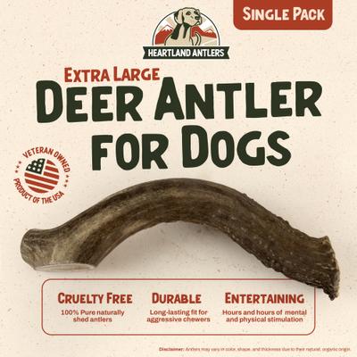Deer Antler Dog Chew, X-Large: 65 to 85-lbs