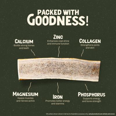 Deer Antler Dog Chew, Medium: 25 to 45-lbs