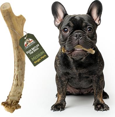 Deer Antler Dog Chew, Medium: 25 to 45-lbs