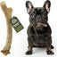 Deer Antler Dog Chew, Large: 45 to 65-lbs