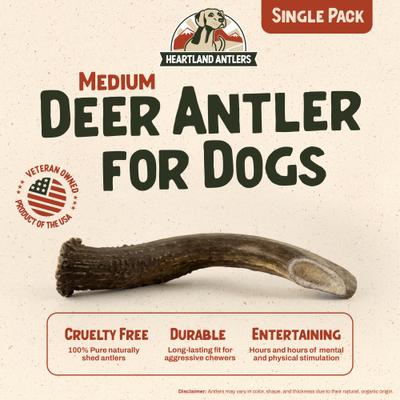 Deer Antler Dog Chew, Medium: 25 to 45-lbs