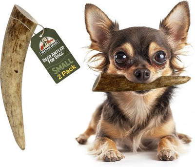 Deer Antler Dog Chew, Small: 5 to 25-lbs, 2 count