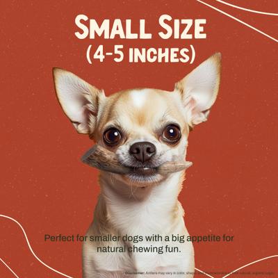 Deer Antler Dog Chew, Small: 5 to 25-lbs, 2 count