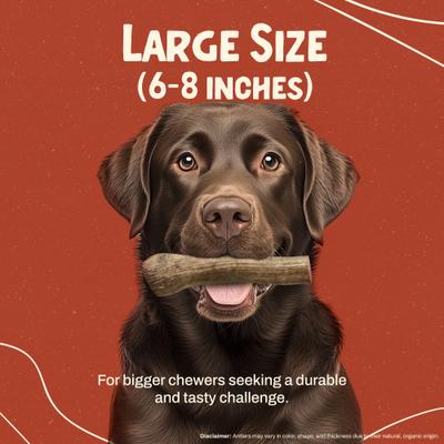 Masticable de asta de alce para perros, grande: de 45 a 65 libras