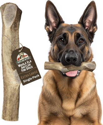 Elk Antler Dog Chew, Small: 5 to 25-lbs, 2 count