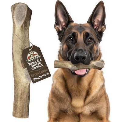 Masticable de asta de alce para perros, grande: de 45 a 65 libras
