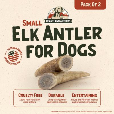 Elk Antler Dog Chew, Small: 5 to 25-lbs, 2 count