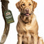 Deer Antler Dog Chew, Medium: 25 to 45-lbs