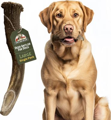 Deer Antler Dog Chew, X-Large: 65 to 85-lbs