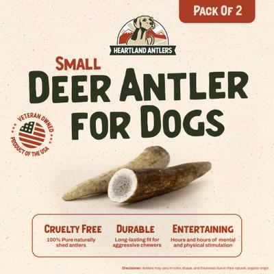 Deer Antler Dog Chew, Small: 5 to 25-lbs, 2 count