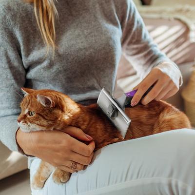 Cepillo deslanador para perros y gatos con diseño de doble filo, grande