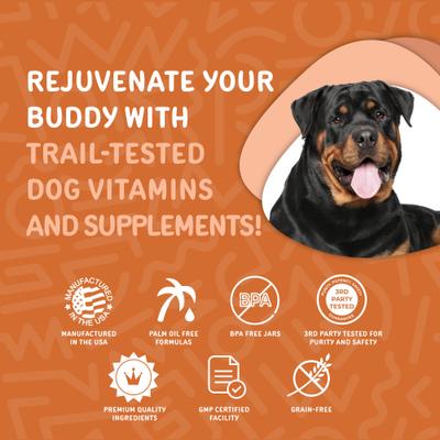 Hip & Joint Turmeric Flavored Chew Supplement for Dogs, 120 count