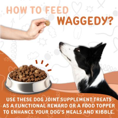 Hip & Joint Turmeric Flavored Chew Supplement for Dogs, 120 count