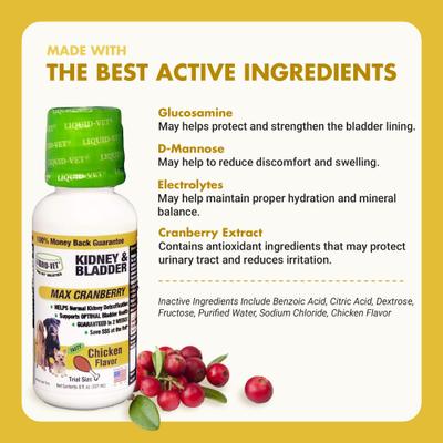 Kidney & Bladder Support Max Cranberry Chicken Flavor Dog Supplement, 8-oz bottle, 2 count