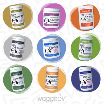 Hip & Joint Turmeric Flavored Chew Supplement for Dogs, 120 count