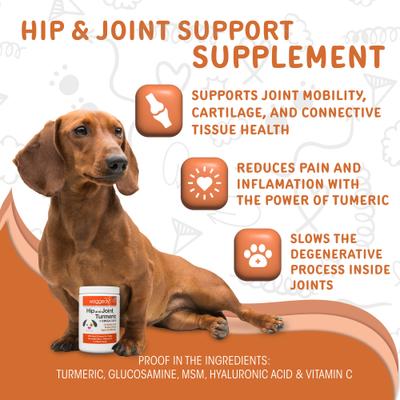 Hip & Joint Turmeric Flavored Chew Supplement for Dogs, 120 count