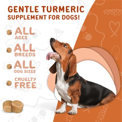 Hip & Joint Turmeric Flavored Chew Supplement for Dogs, 120 count