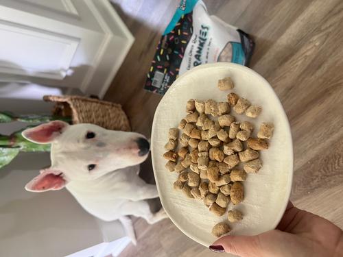 Beef Recipe Freeze-Dried Raw Dog Food & Topper, 4-oz bag