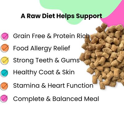 Beef Recipe Freeze-Dried Raw Dog Food & Topper, 4-oz bag