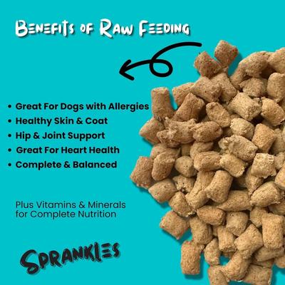 Beef Recipe Freeze-Dried Raw Dog Food & Topper, 4-oz bag