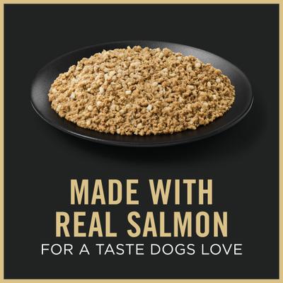 Sensitive Stomach & Skin Puppy Salmon & Rice Entrée Classic Wet Dog Food, 13-oz can, case of 12
