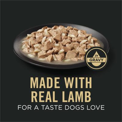 Sensitive Skin & Stomach Lamb & Oat Meal in Gravy Wet Dog Food, 13-oz can, case of 12