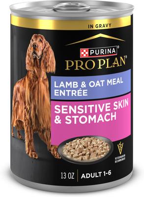 Sensitive Skin & Stomach Lamb & Oat Meal in Gravy Wet Dog Food, 13-oz can, case of 12