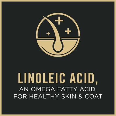 Sensitive Skin & Stomach Lamb & Oat Meal in Gravy Wet Dog Food, 13-oz can, case of 12