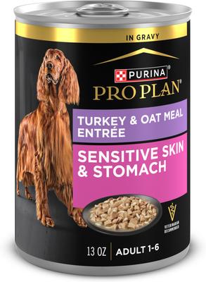 Sensitive Systems Turkey & Oat Meal in Gravy Wet Dog Food, 13-oz can, case of 12
