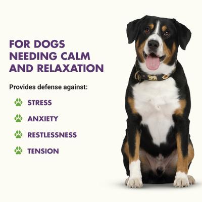 Calm & Content Support Pot Roast Flavor Liquid Calming Supplement for Dogs, 32-fl oz bottle