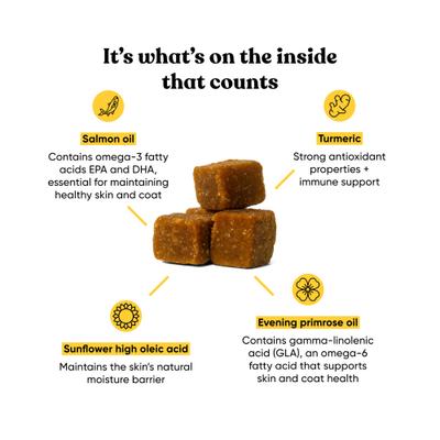 Allergy Bacon Flavored Soft Chew Skin & Coat Supplement for Dogs, 90 count