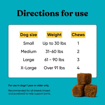 Joint Bacon Flavored Soft Chew Supplement for Dogs, 90 count