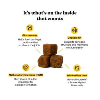 Joint Bacon Flavored Soft Chew Supplement for Dogs, 90 count