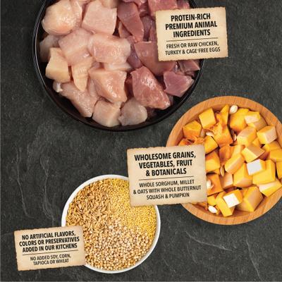 Free-Run Poultry Wholesome Grains Dry Dog Food, 32-lb bag